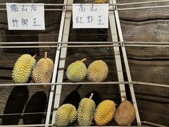 -都念榴莲·城市榴莲