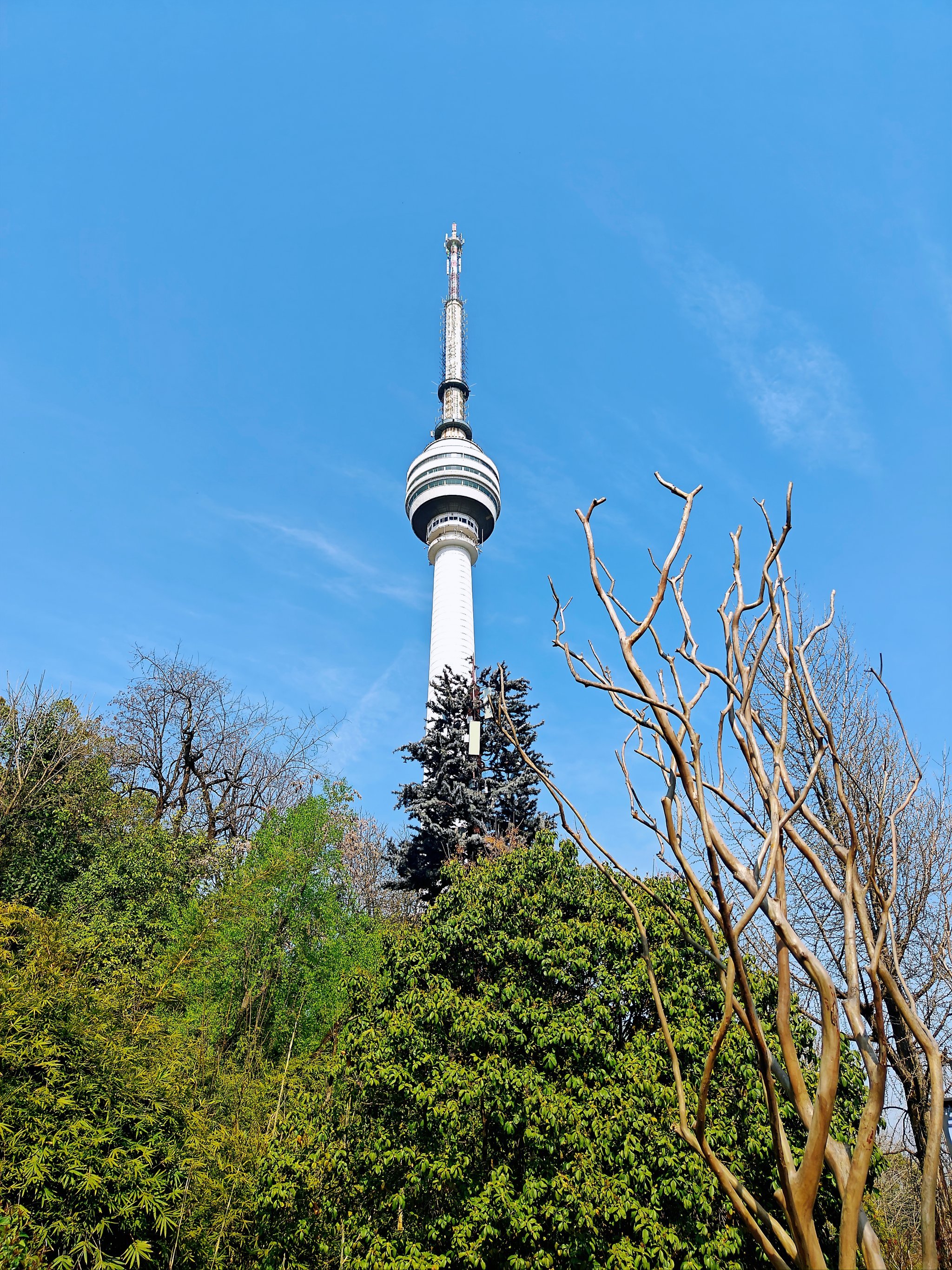 武汉亲子出行好去处