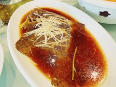 -洪湖家庭农场·团建·露营·会议