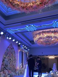 -曼格纳婚礼艺术中心(张江店)