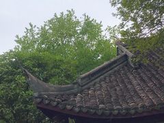 -上海佘山国家森林公园天马山园