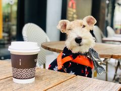 -Peet's 皮爷咖啡(东湖路手作店)