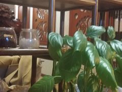 -盤古Spa泰式古法抓龙筋(鲁迅路店)