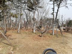 -龙门石窟-停车场