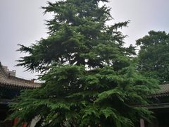 -茂陵博物馆