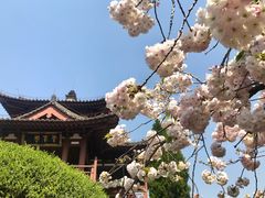 -西安青龙寺遗址景区
