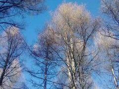 景点-喇嘛山国家森林公园
