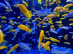 -成都浩海立方海洋公园