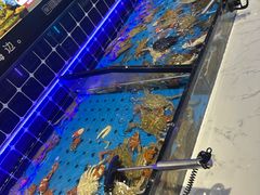-川骄海鲜自助(河东店)