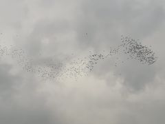 -太鲁阁公园