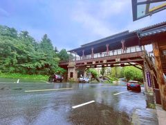 -江南天池