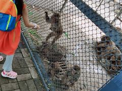 -长白岛森林公园