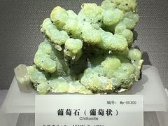 -湖南省地质博物馆