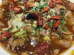 -伊喜饺子·烤鸭(五道口学院路店)