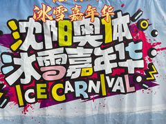 -沈阳奥体冰雪嘉年华