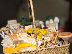 金耳-大龙燚·旷野鲜火锅(广州首店)