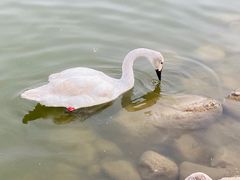 -鄂尔多斯野生动物园