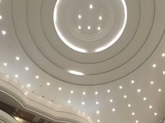 -五谷芳乳鸽王(海景店)