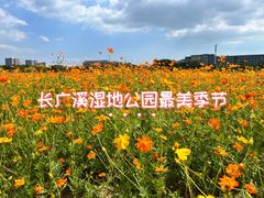-长广溪湿地公园