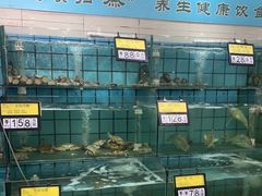 -海岛渔村大酒店(云霄路店)