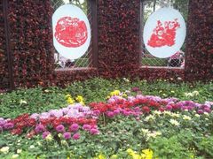 iphone_upload_pic-迎泽公园