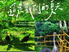 -三亚蜈支洲岛旅游区