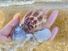 -那香海钻石沙滩浴场