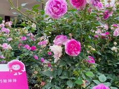 -人民公园(罗湖区)