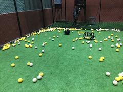 -fba篮球棒球射箭俱乐部