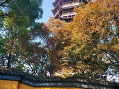 -万福兴(东中市店)