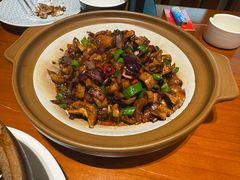 -杨厨的田园饭店(长城路店)