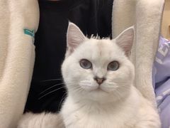 -猫力发电所·宠物专门店