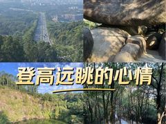 -火炉山森林公园