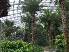 -济南植物园