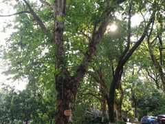 -湖南省立第一师范学校旧址