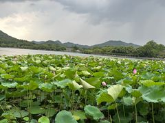 -西湖游船