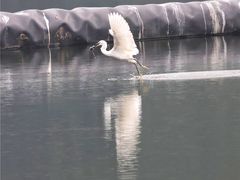 -重庆彩云湖湿地公园