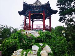 -大兴滨河森林公园