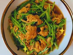 -好孕妈妈月嫂(沈河总店)