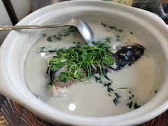 -紫藤园·天目湖大鱼头(南山竹海店)