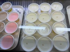 -奶酪魏(牛街总店)