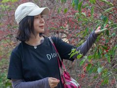 -永定河休闲森林公园