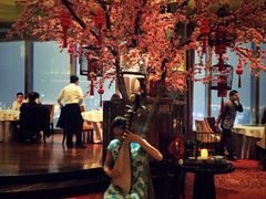 -金轩中餐厅 Jin Xuan(浦东丽思卡尔顿酒店)
