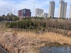 -四里河滨水生态公园