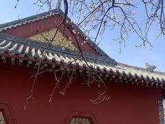 -桃花堤公园