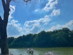 -海珠湖公园
