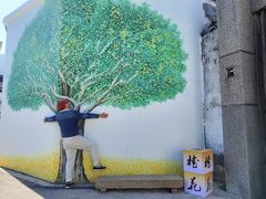 -苏州市吴中区光福窑上花果蜜饯厂