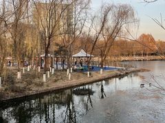 -大兴滨河森林公园