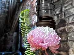 -驿舍·民國老营房院子私房菜(科学会堂店)