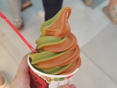 -野人先生Gelato(上海长宁龙之梦店)